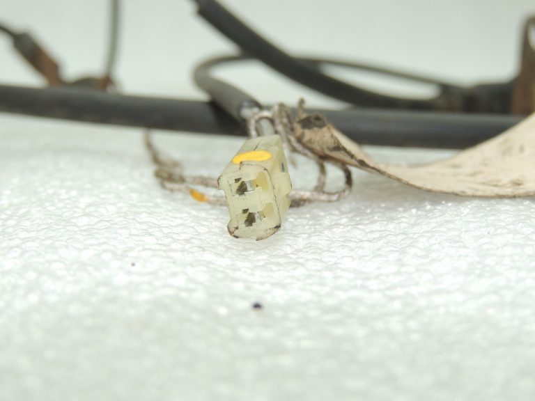 OEM Suzuki Liana riteņa ātruma sensors aizmugurējais labais 5631054G00