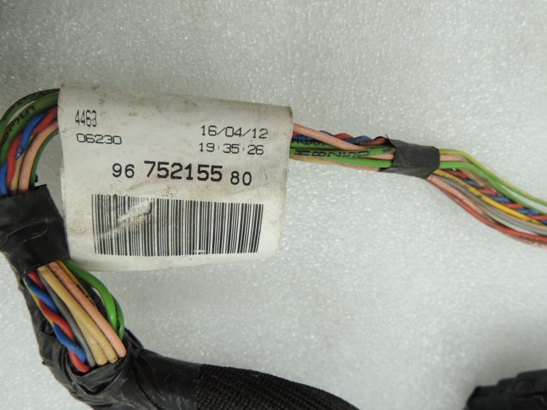 Peugeot 508 W23 Durvju instalācija priekšējā kreisā 6598JL