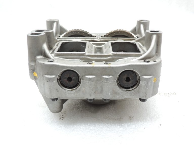 Opel Antara 2.2Cdti A22DM LNQ Eļļas sūknis Vibrācijas amortizators 96992601 25190604