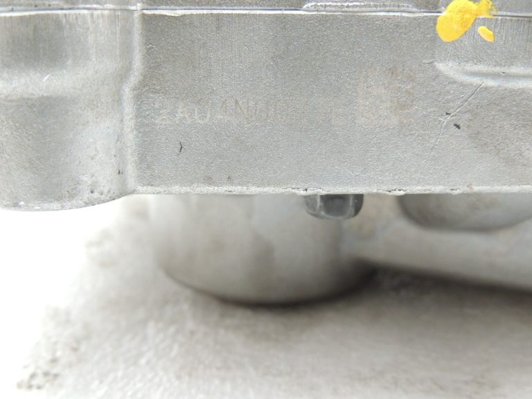 Opel Antara 2.2Cdti A22DM LNQ Eļļas sūknis Vibrācijas amortizators 96992601 25190604