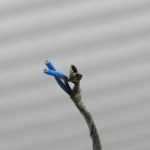 VW Polo oriģinālais priekšējo sēdekļu pasažiera sēdvietas aizņemtības sensors