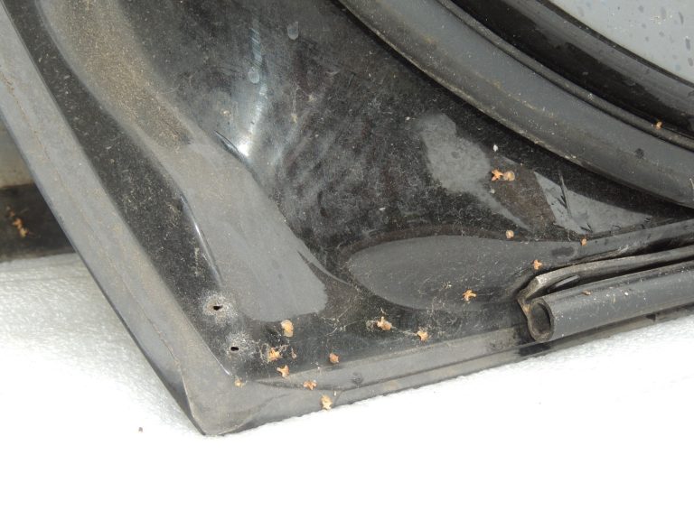 Peugeot 508 I priekšējās labās puses durvis KDM – GUARANJA BRŪNA LAKSA 9677683980