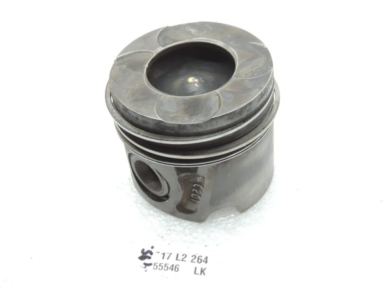 Opel 1,3CDTi A13DTE Nural virzule ar virzuļu gredzeniem 55212096