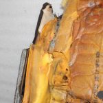Lancia Thema II priekšējo kreiso sēdekļu spilvens Mochacino āda K68138323AA