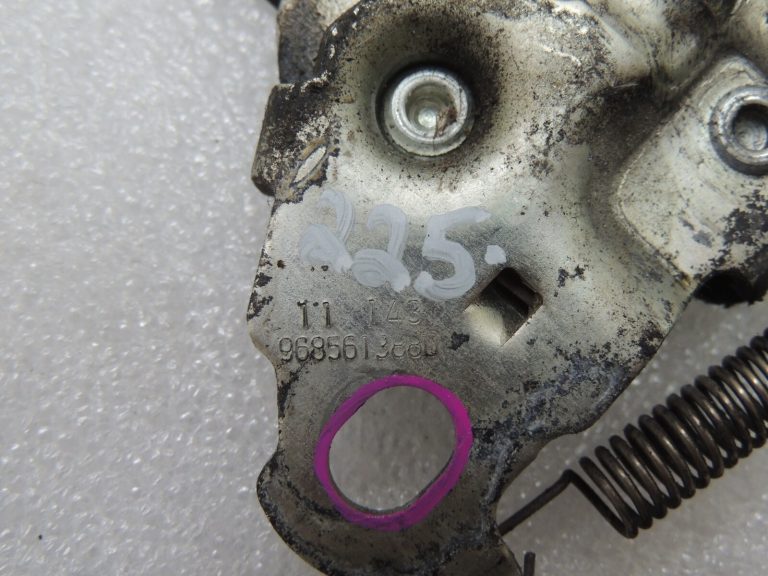 CITROEN C3 II 1.6i Dzinēja pārsega slēdzene Dzinēja pārsega slēdzene 9685613880