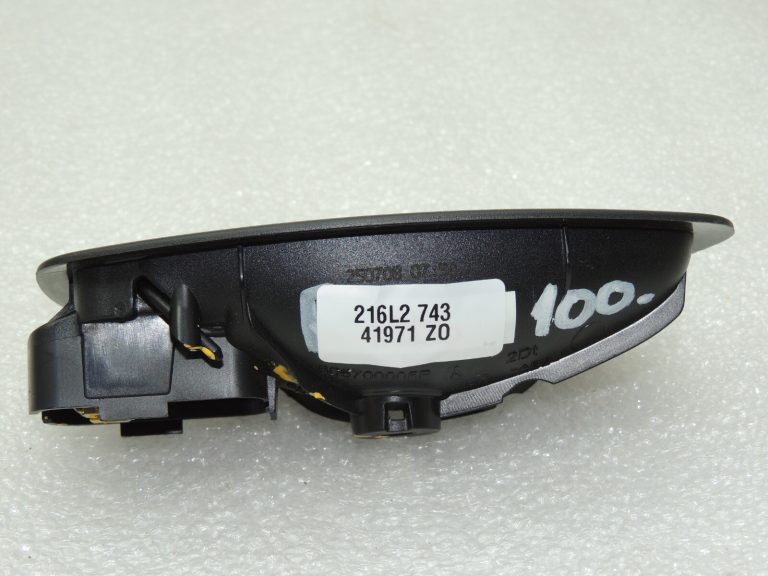 Renault Laguna III Iekšējo durvju rokturis labajā pusē 806700005R