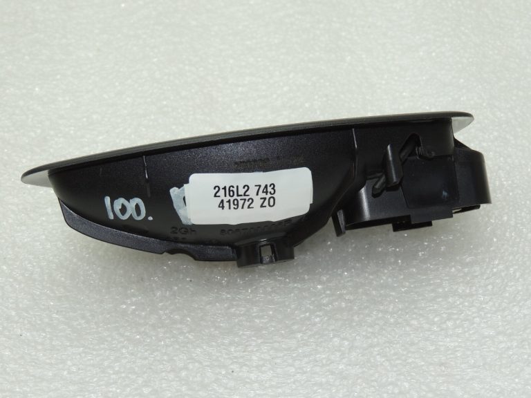 Renault Laguna III Interjera durvju rokturis kreisais 806700006R