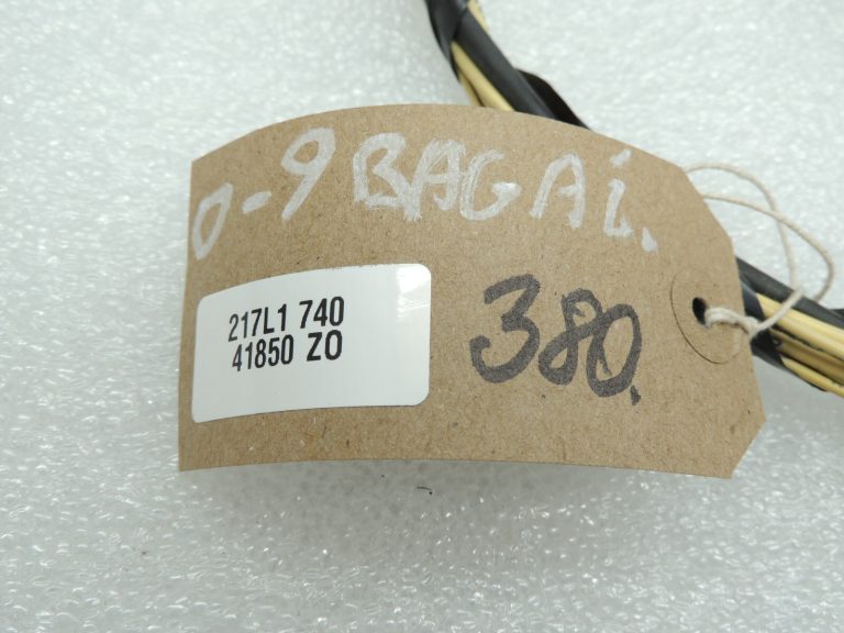 Opel Insignia A aizmugurējo durvju vadu instalācija pa kreisi 13273612