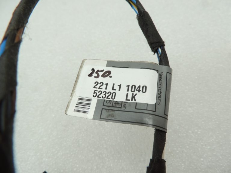 BMW E60 salona aizmugurējo durvju elektroinstalācijas siksna kreisā vai labā 6926480