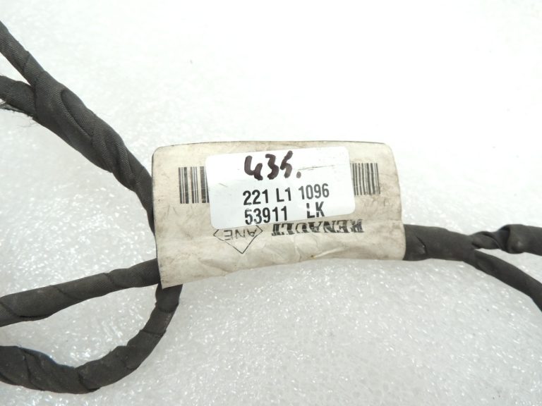 Renault Kangoo II X61 Priekšējo lukturu vadu instalācija 240124959R