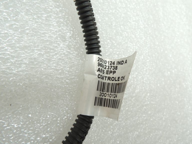 Citroen C3 II SC A51 Aizmugurējās numura zīmes apgaismojuma vadu instalācija 966423738