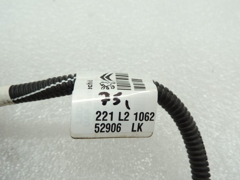 Citroen C3 II SC A51 Aizmugurējās numura zīmes apgaismojuma vadu instalācija 966423738