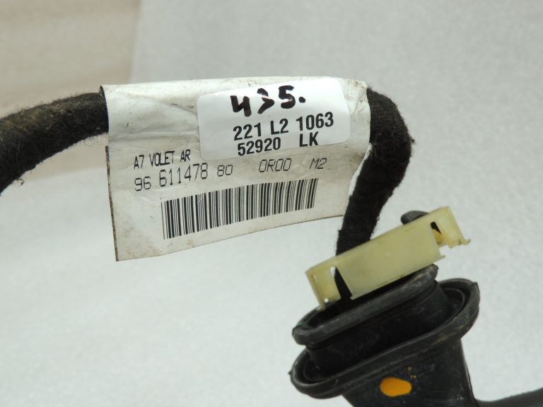 Peugeot 207 aizmugurējo durvju instalācijas siksna bagāžnieka vāks 9661147880