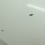 VW Tiguan 5N Ārējais spogulis pa labi DECKABLE B9A / LB9A 5N1857502AK
