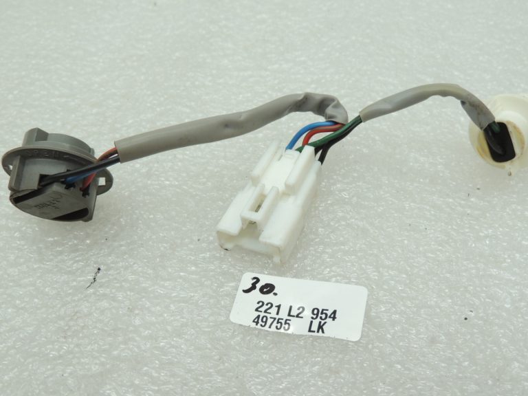 Hyundai Santa FE II 05-09 Iekšējais aizmugurējais apgaismojums 924902B000