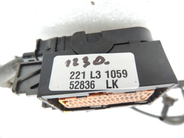 Chevrolet Lacetti J200 1.8i T18SED motora elektroinstalācija 96418810