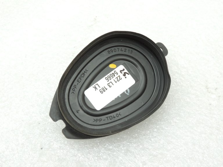 Renault Laguna III halogēna lukturu vāka vāciņš 260290001R