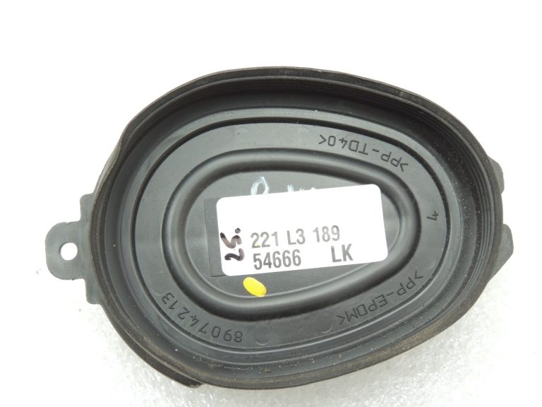 Renault Laguna III halogēna lukturu vāka vāciņš 260290001R