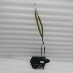 Nissan X-trail T31 Oriģinālā aizmugurējā labā durvju slēdzene 82500JG000