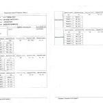 Nissan X-Trail T31 2.0Dci M9R 1x degvielas iesmidzinātājs 1660000Q0N 0445115022