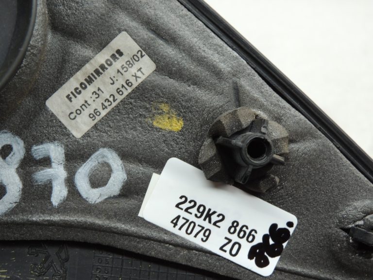 Peugeot 206 Ārējais spogulis labais zils 8154JF 8149KN