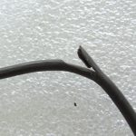 Volvo XC90 II 2.0D D5 D4204T11 165KW Izplūdes gāzu temperatūras sensors 31439823 31293881