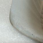 MINI R55 R55 R56 R57 R58 R59 R60 R61 Ārējā spoguļa vāks hromēts kreisais 51160415373