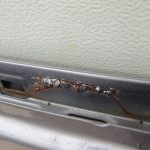 Hyundai Sonata V NF Limousin Aizmugurējo durvju aizmugurējā labā durvju labo durvju krāsa G6 Charming Gray