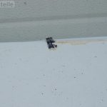 BMW X5 E70 M Sport Sānu sliekšņa līstes labās alpīniski baltas 3 300