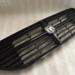 Dodge Caliber radiatora režģis radiatora priekšējā režģa krāsa PX8
