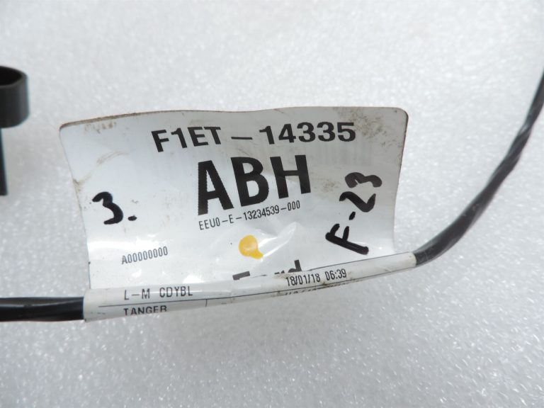 Ford Focus III jumta iekšējais jumts Jumta instalācijas kabelis 2169563 F1ET-14335-ABH