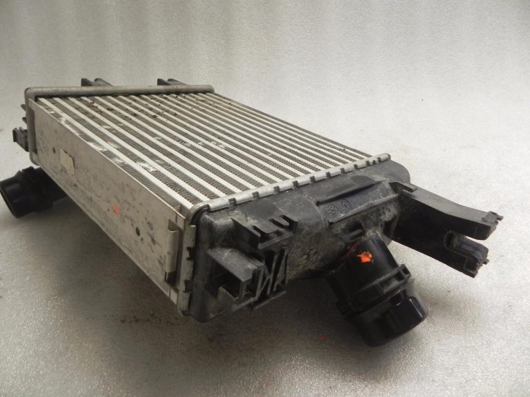 Oriģinālais Renault Clio IV Captur Dacia Duster Logan Lodgy Sandero starpdzesētājs