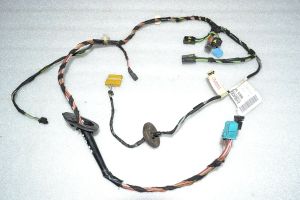 Mercedes-Benz B-klase W245 Aizmugurējo durvju instalācija kreisā labā A1695408205