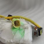 Mitsubishi Outlander III Priekšējais kreisais sēdekļa modulis Sēdekļa drošības modulis TG11C04001