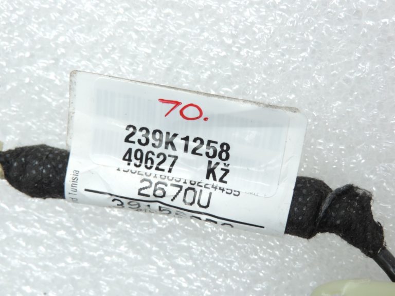 Oriģinālā Opel Insignia B radio antenas instalācija 39152670