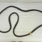 Opel Astra K kombi aizmugurējo durvju gumijas blīvējums gumijas blīvējums 39211971