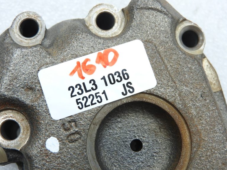 AUDI SEAT SKODA VW DSG DQ250 Transmisijas eļļas sūknis 02E315105A 02E315105B