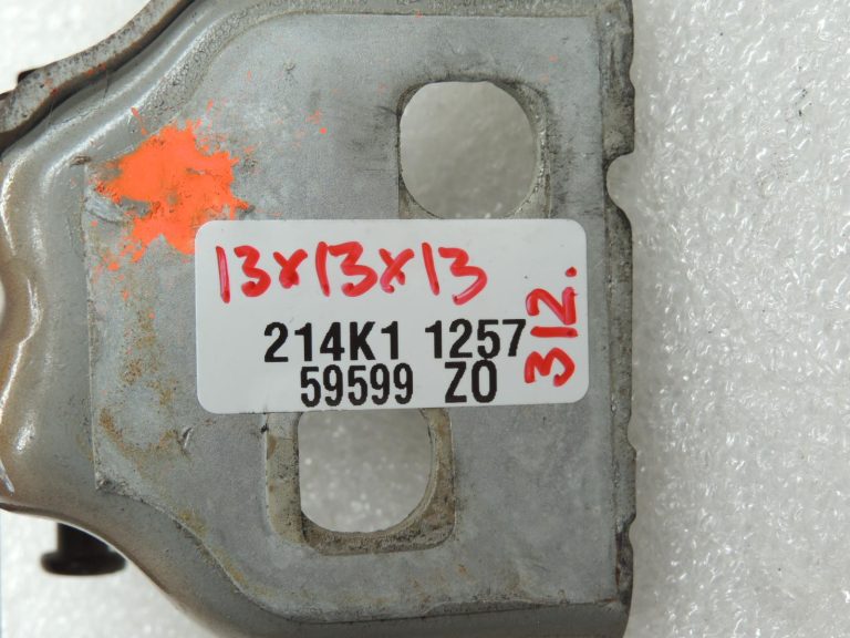DACIA Duster I (H79) 4×4 Durvju eņģe 804207876R