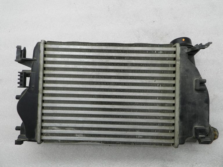 Nissan Qashqai Starpdzesētāja radiators 144614ej0a