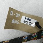 BMW F31 Oriģinālā aizmugurējo durvju elektroinstalācija (Sagriesti) 61129365085