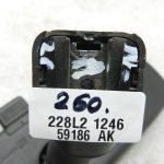 Nissan X-Trail oriģinālais salona spogulis 963219Y000