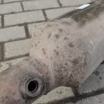 Ford Ranger P375 TKE 2.2 TDCi T22DD0P katalizators DPF GB3G-5K224-AB
