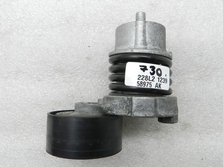 Nissan Qashqai oriģinālais ģeneratora siksnas spriegotājs 1172000Q6G