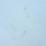 Opel Astra H hečbeks aizmugurējās kreisās durvis balta 13162876 04-10