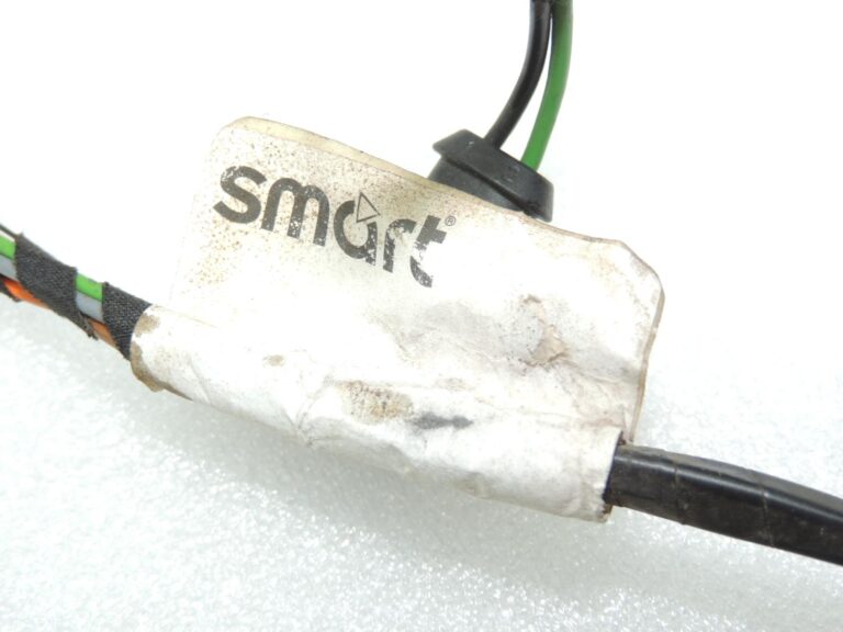 Smart Fortwo 450 durvju vadu kopne, pasažiera durvis labajā pusē, Q0009940V001000000, OE