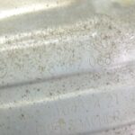 OE BMW G30 G31 dīzeļdzinējs B47 katalizators 8582068 18308594454 8594454