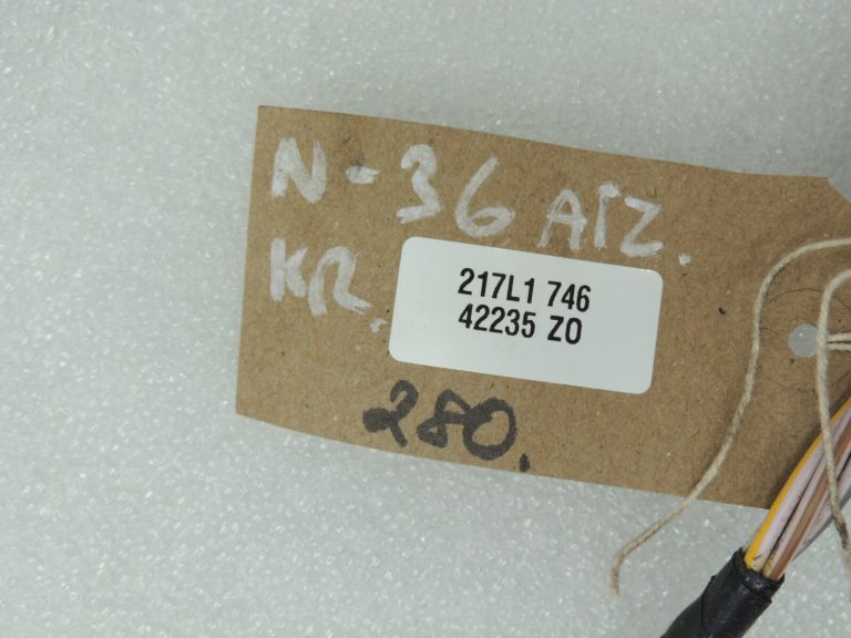 Nissan X-Trail T32 Aizmugurējo kreiso durvju elektroinstalācijas instalācija 241274CE0A