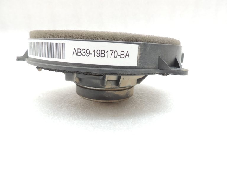 Ford Ranger P375 TKE Aizmugurējais labās puses durvju skaļrunis AB39-19B170-BA